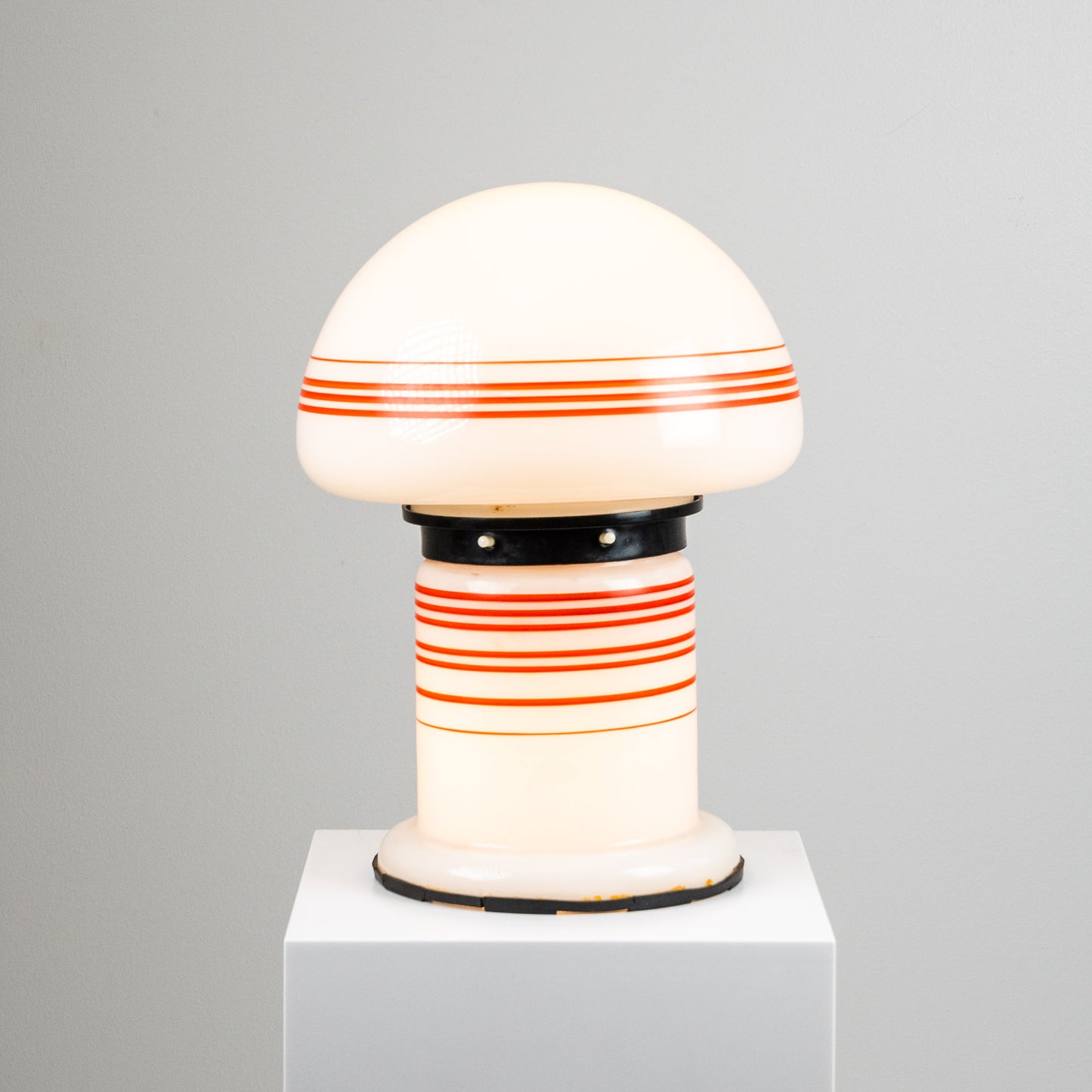 Raidallinen sienivalaisin