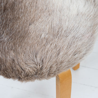 Artek E60-jakkara porontaljalla