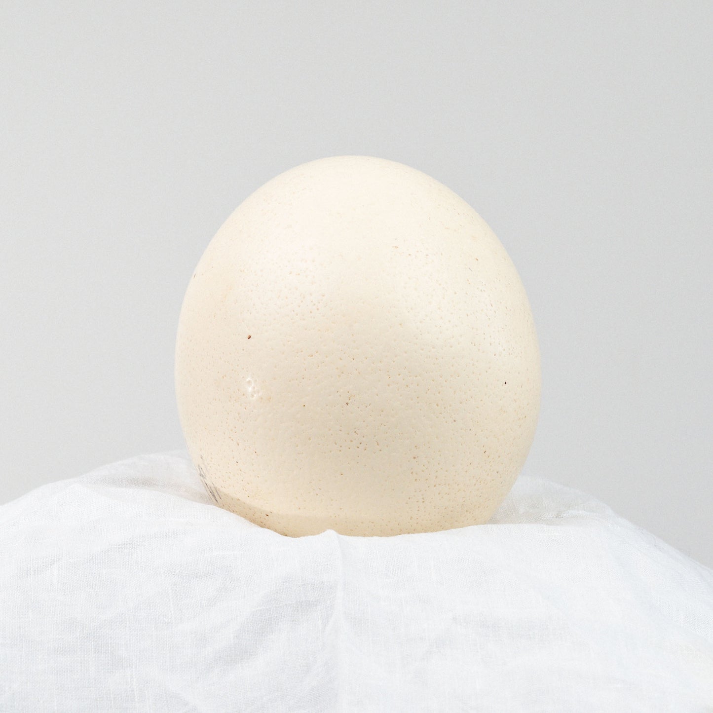 Strutsinmuna 15 cm