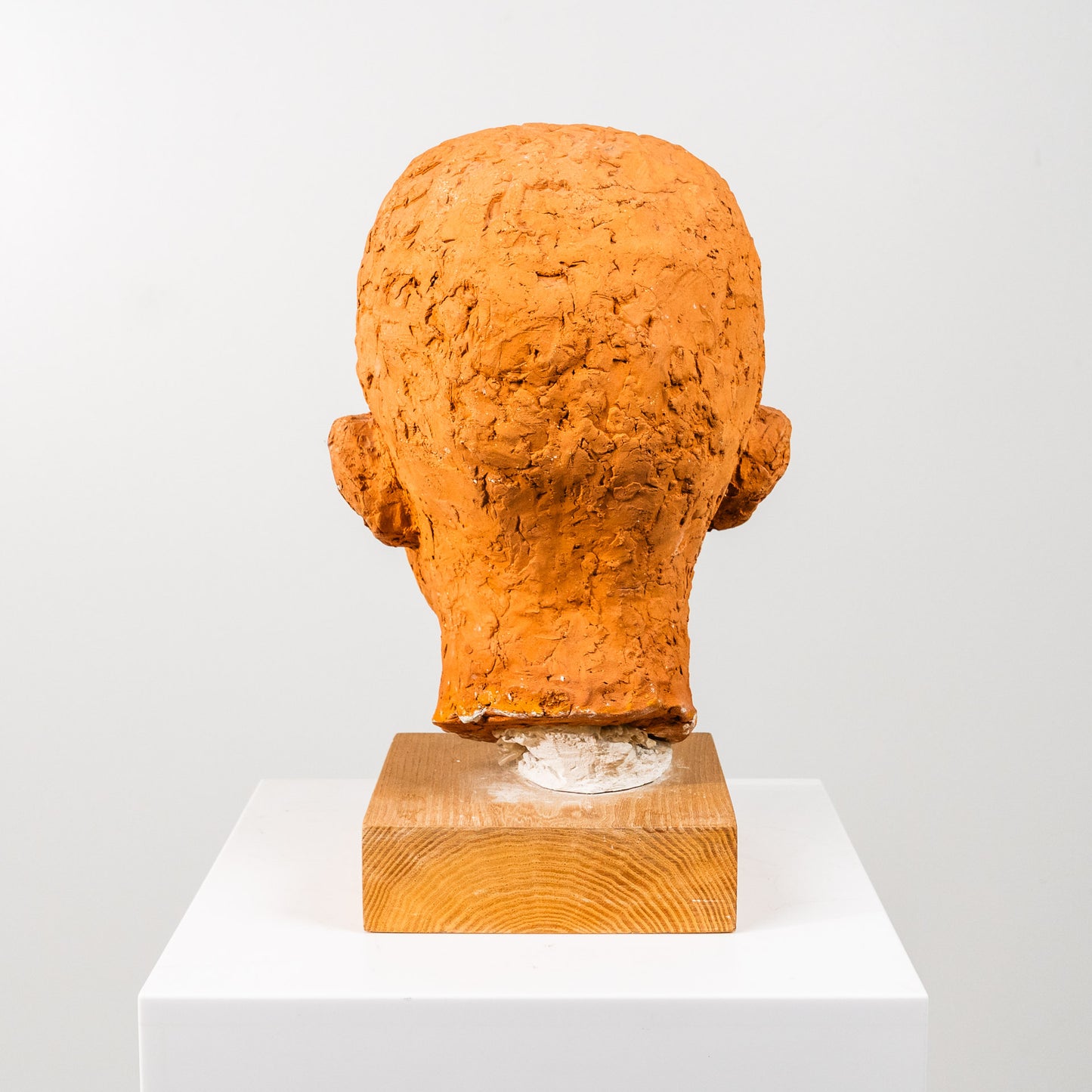 Rigmor Svenoni savipää